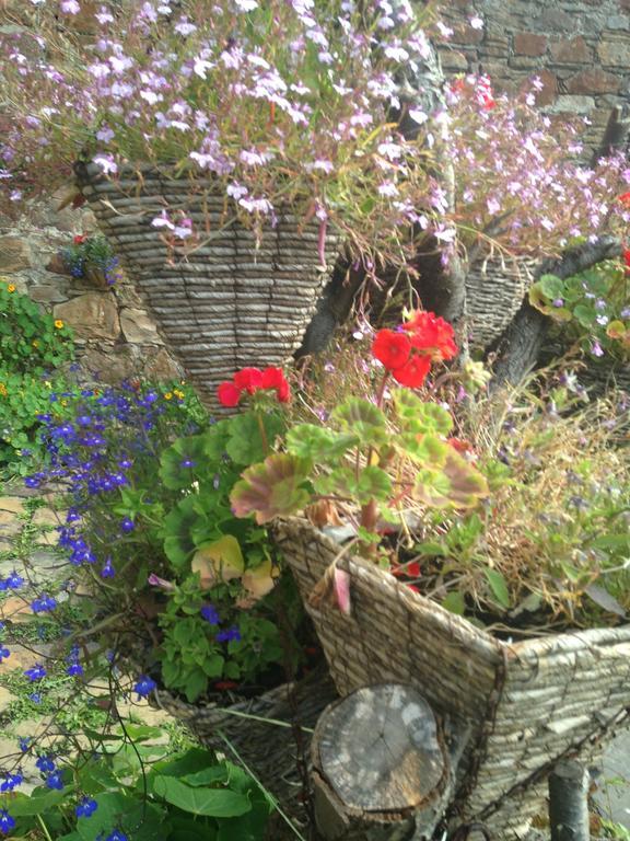 Bed and Breakfast Belstane House Cellardyke Екстер'єр фото